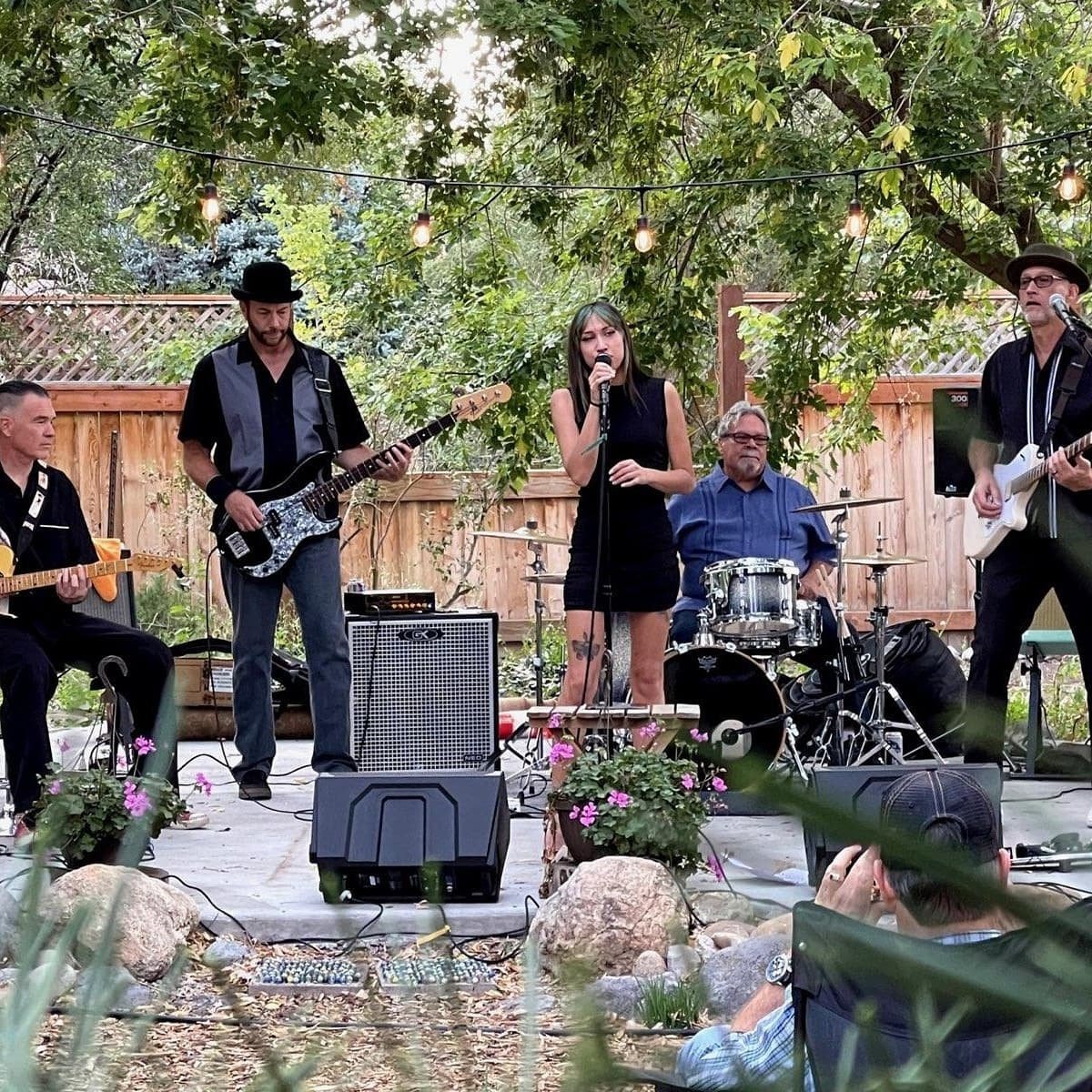 olive-the-alleycats-millcreek-arts-council